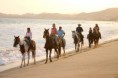 /album/paseo-a-caballo/caballo-2-jpg/